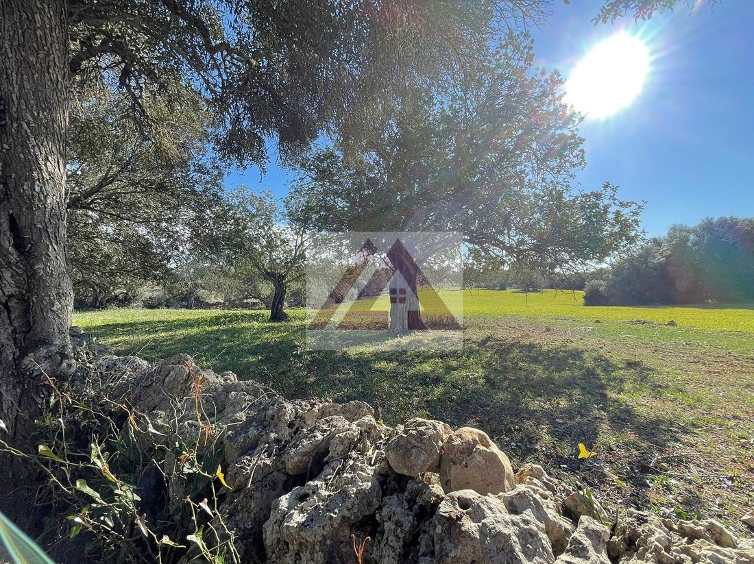 Land in Felanitx, Balearic Islands, Spain 4 - 17530720