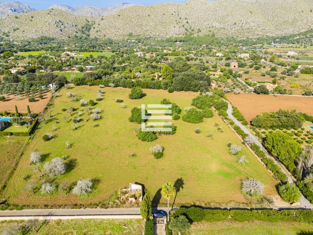 Land in Pollenca, Balearic Islands, Spain 2 - 17530605