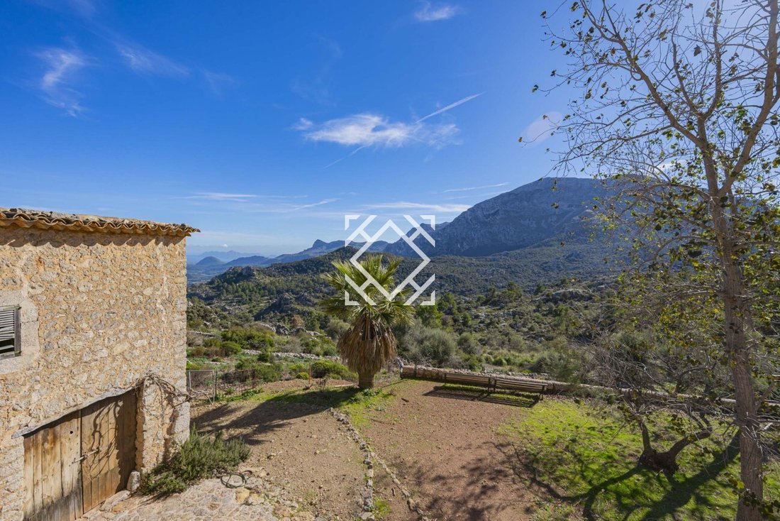 Finca in Escorca, Balearic Islands, Spain 4 - 17530954