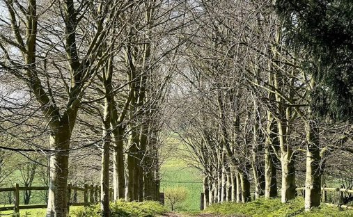 For Sale – Press House In A Peaceful Environment Near Pont L'evêque 14130