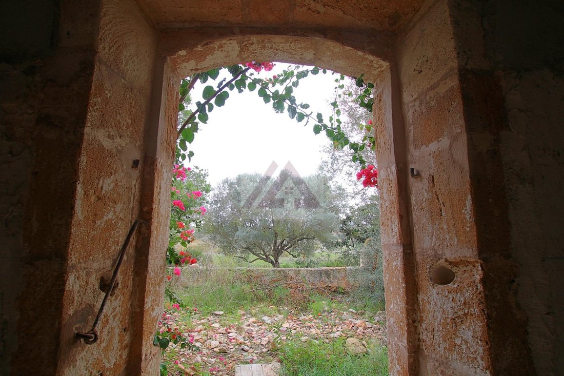 Country House in Sant Llorenc des Cardassar, Balearic Islands, Spain 5 - 17531330