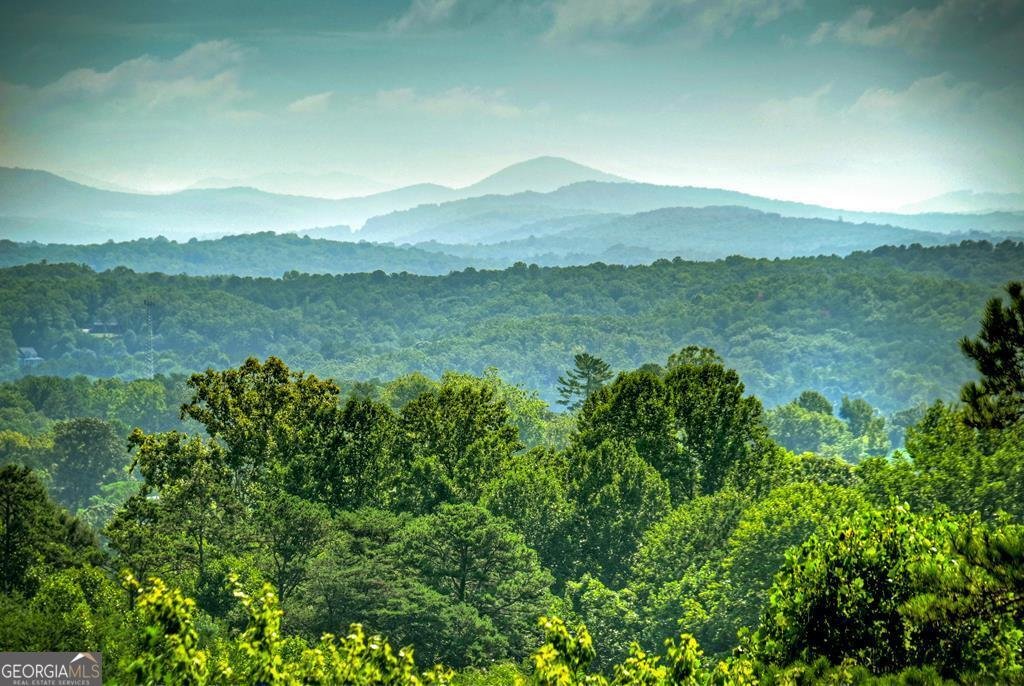 House in Blue Ridge, Georgia, United States 3 - 17531255