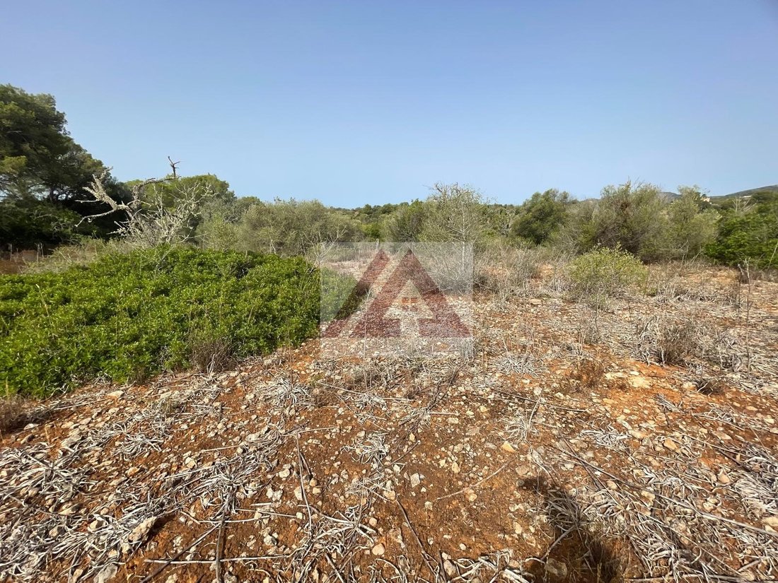 Land in Santanyi, Balearic Islands, Spain 5 - 17530701