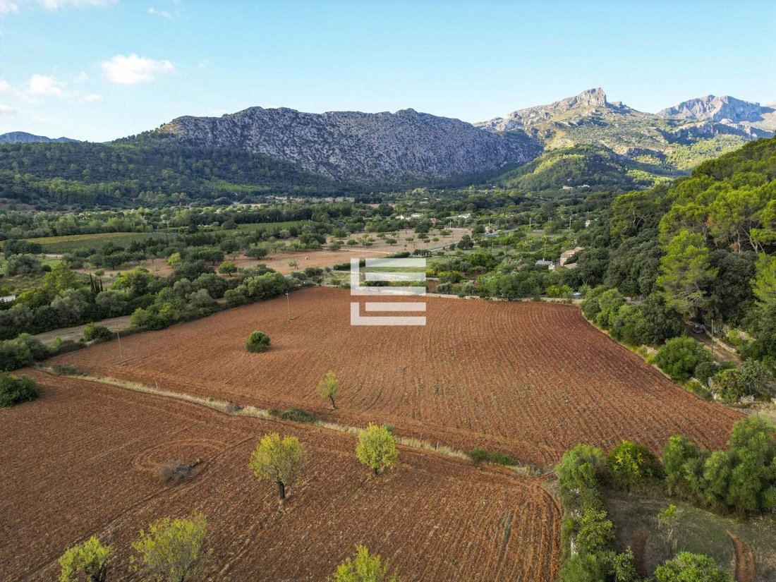 Finca in Pollenca, Balearic Islands, Spain 3 - 17531447