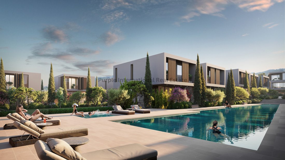 Villa in Peyia, Paphos, Cyprus 4 - 17532473