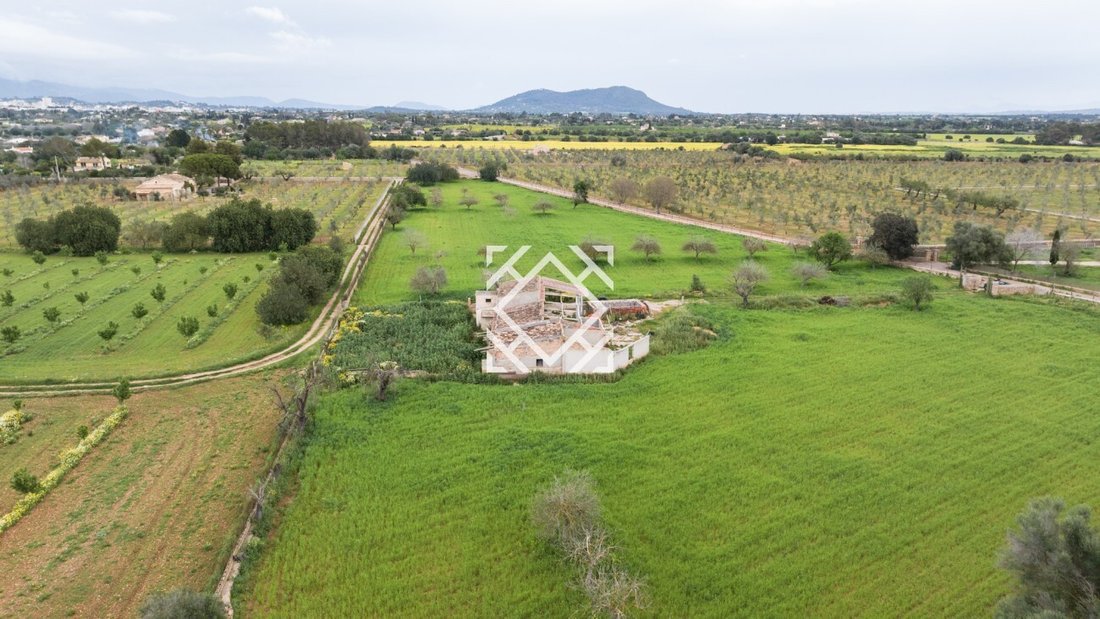 Finca in Binissalem, Balearic Islands, Spain 3 - 17531363