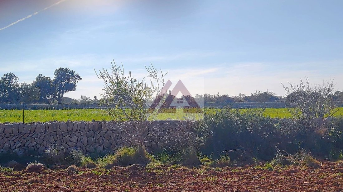 Land in Santanyi, Balearic Islands, Spain 1 - 17530537