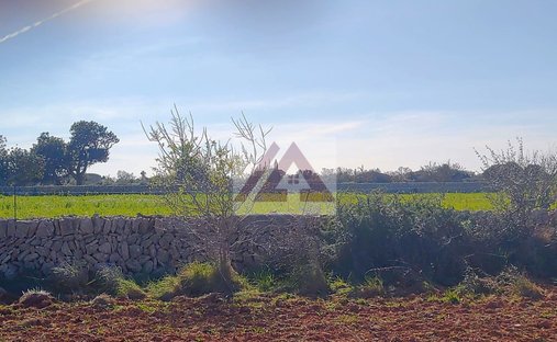 Land in Santanyi, Balearic Islands, Spain 1
