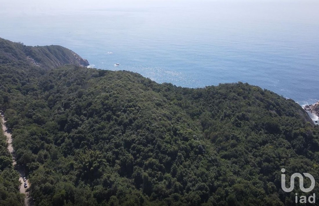 Land in Acapulco, Guerrero, Mexico 3 - 17531989