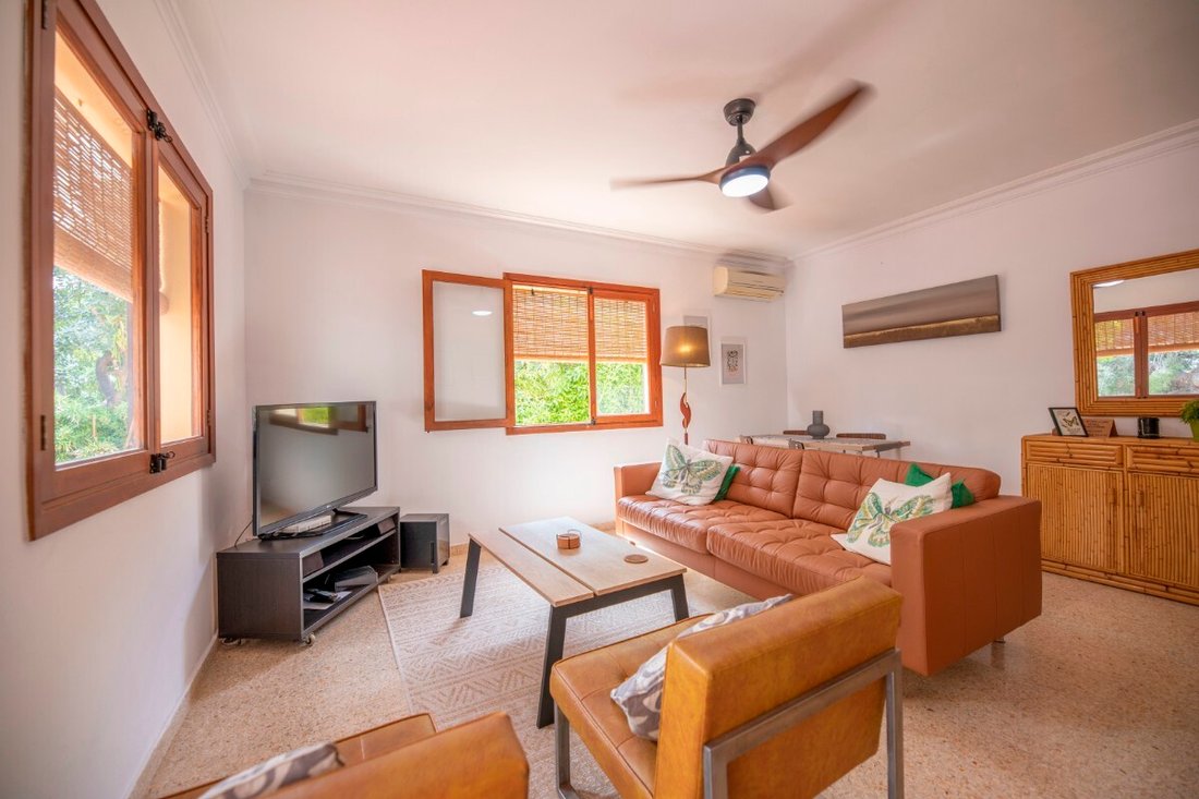 Apartment in Soller, Balearic Islands, Spain 4 - 17532106