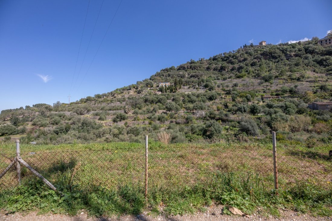 Land in Deia, Balearic Islands, Spain 4 - 17530555