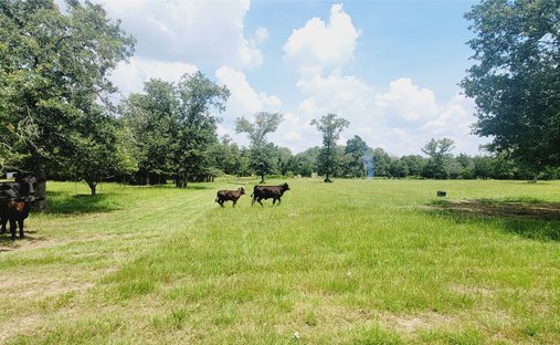 House in Thorndale, Texas, United States 1
