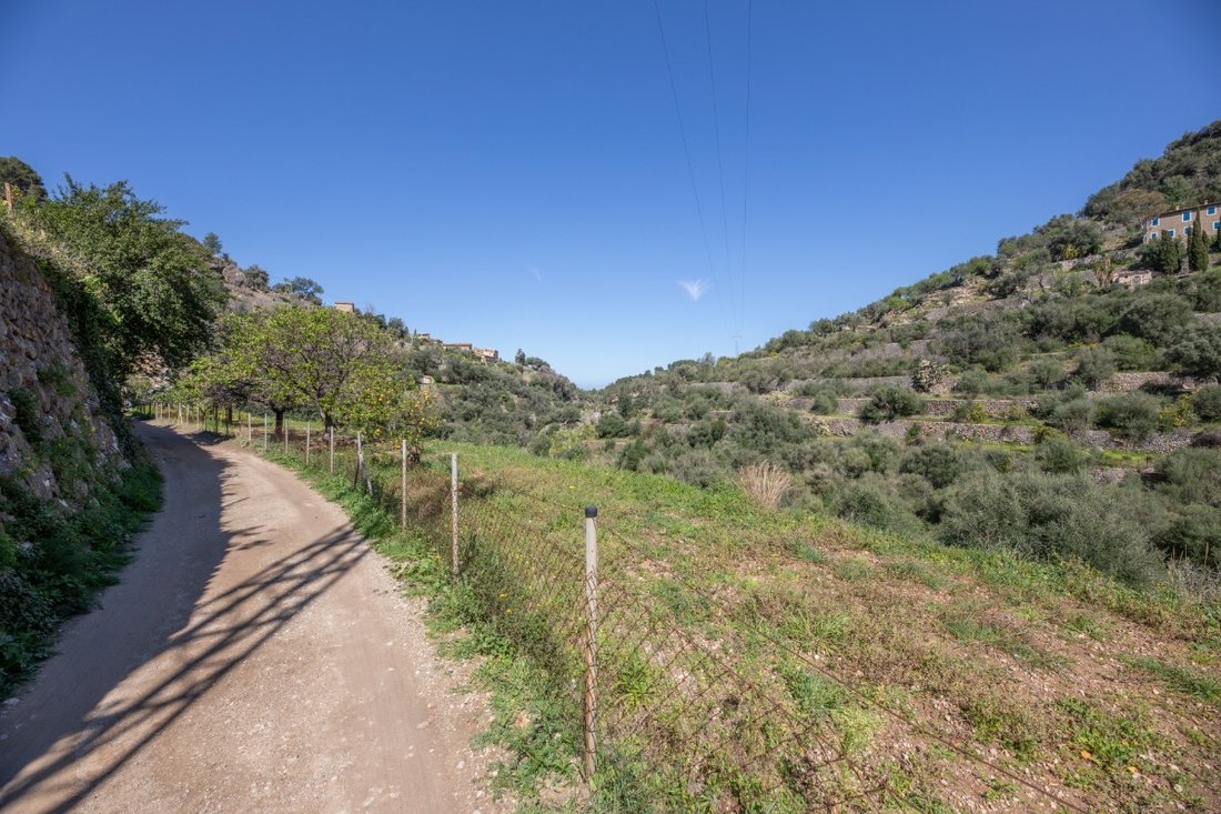 Land in Deia, Balearic Islands, Spain 2 - 17530555