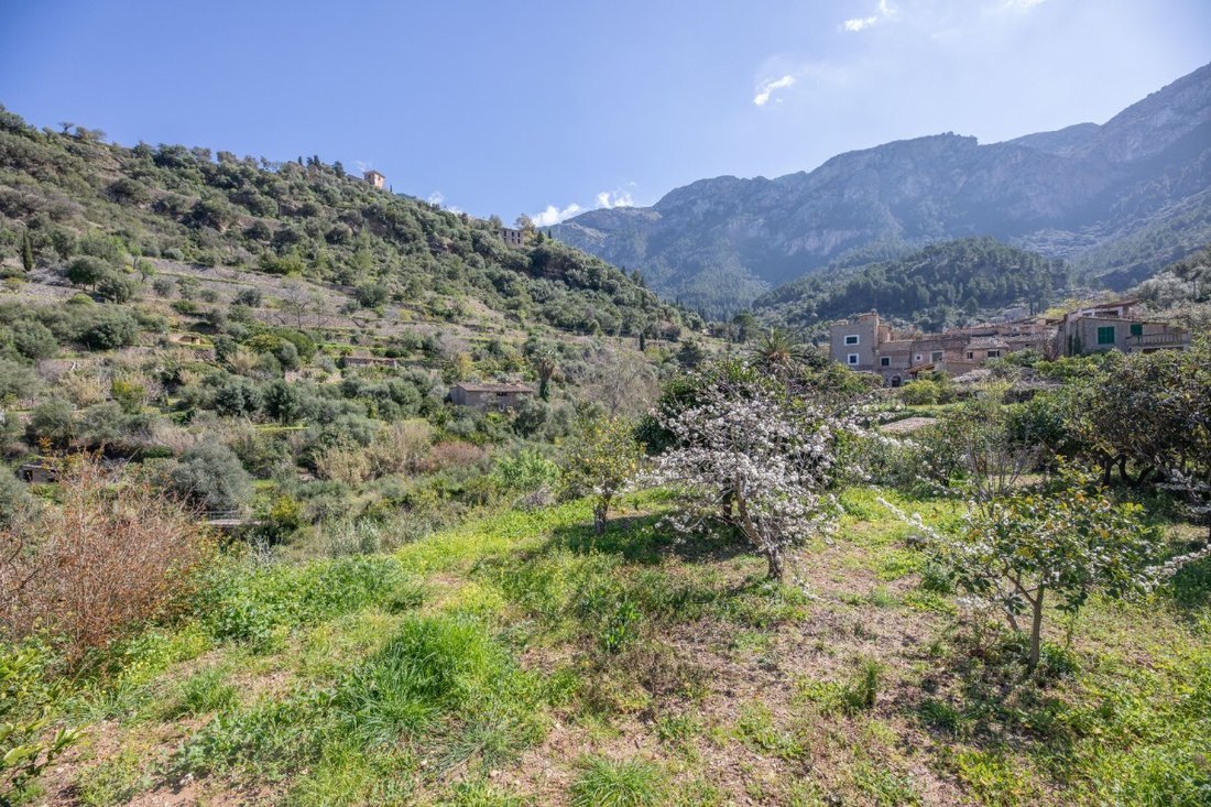Land in Deia, Balearic Islands, Spain 5 - 17530555