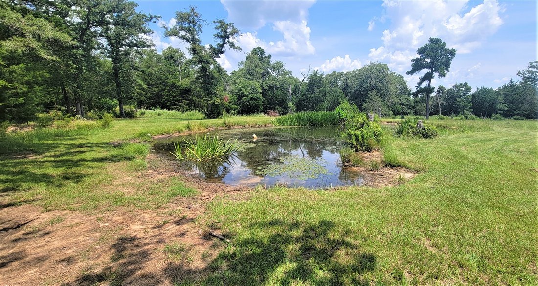 House in Thorndale, Texas, United States 3 - 17530666