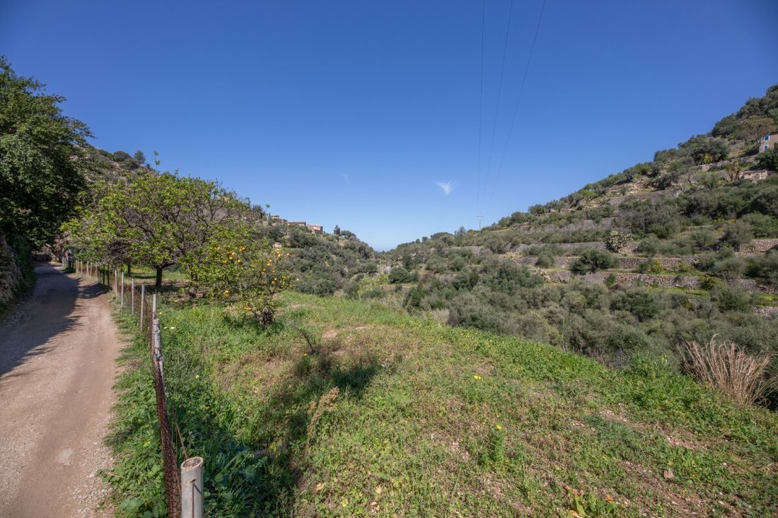 Land in Deia, Balearic Islands, Spain 3 - 17530555