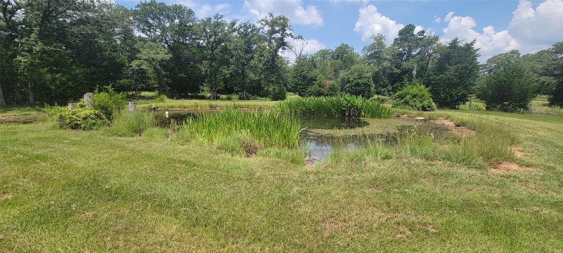 House in Thorndale, Texas, United States 4 - 17530666