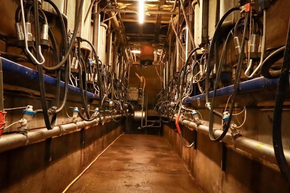 Farm Ranch in Woel, Grand Est, France 4 - 17533659