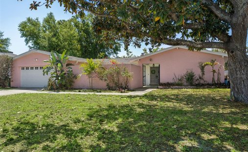 Land in Tampa, Florida, United States 1