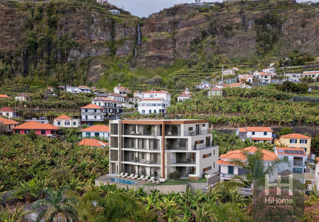 Apartment in Ponta do Sol, Madeira, Portugal 1 - 16484235