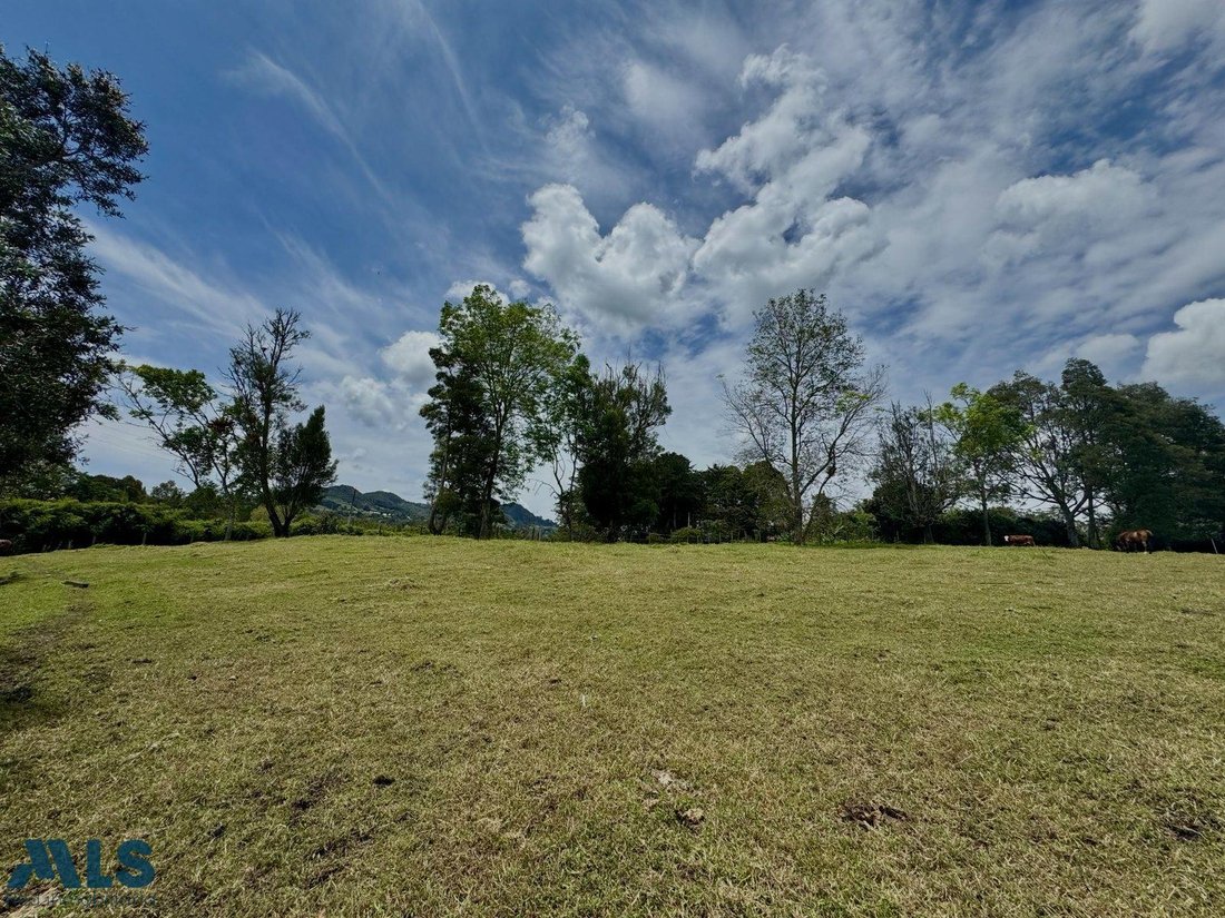 Terrain à Rionegro, Antioquia, Colombie 1 - 17534909