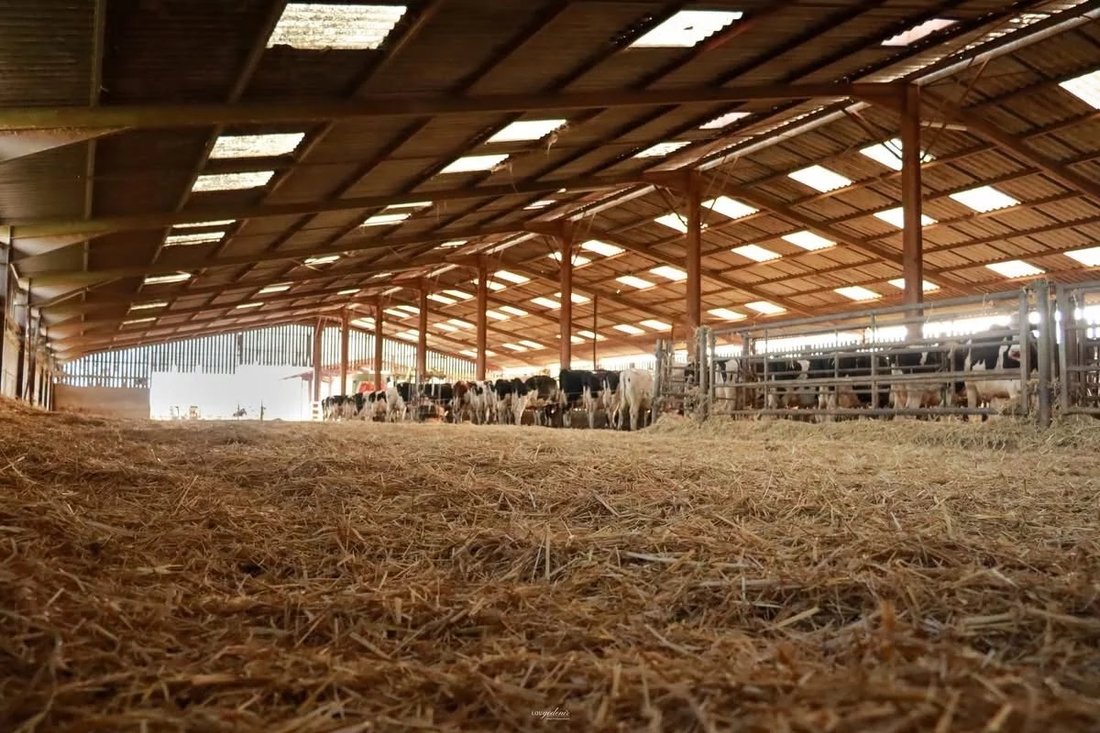 Farm Ranch in Woel, Grand Est, France 1 - 17533659