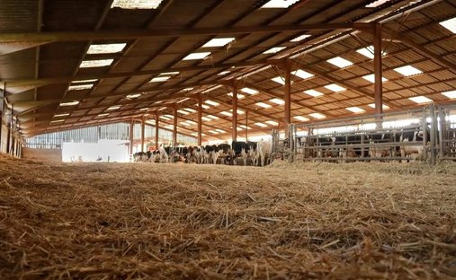 Corps de ferme à Woël, Grand Est, France 1