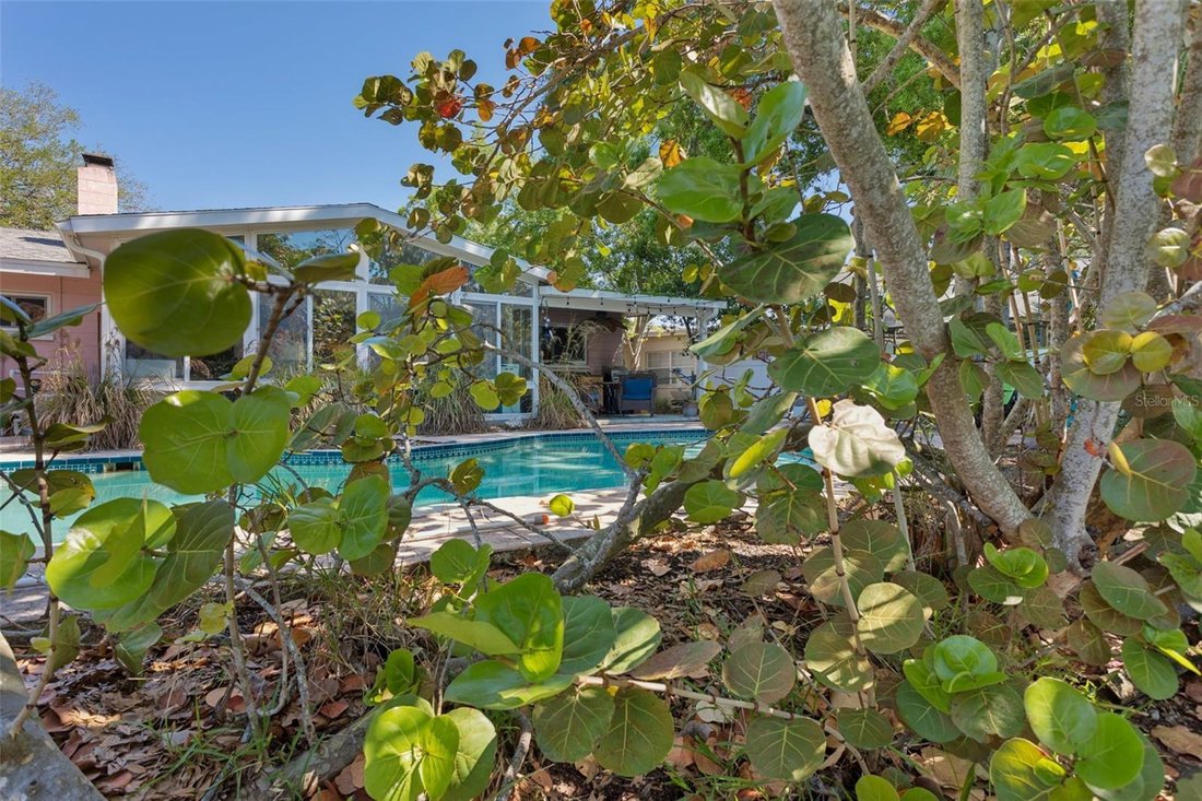 Land in Tampa, Florida, United States 4 - 17272668