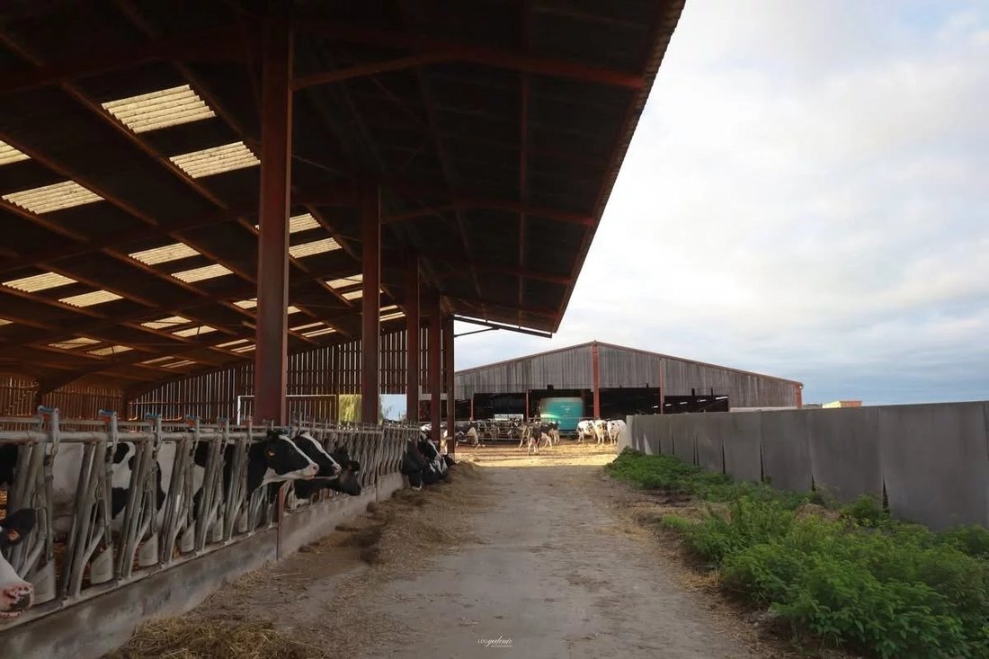 Farm Ranch in Woel, Grand Est, France 3 - 17533659