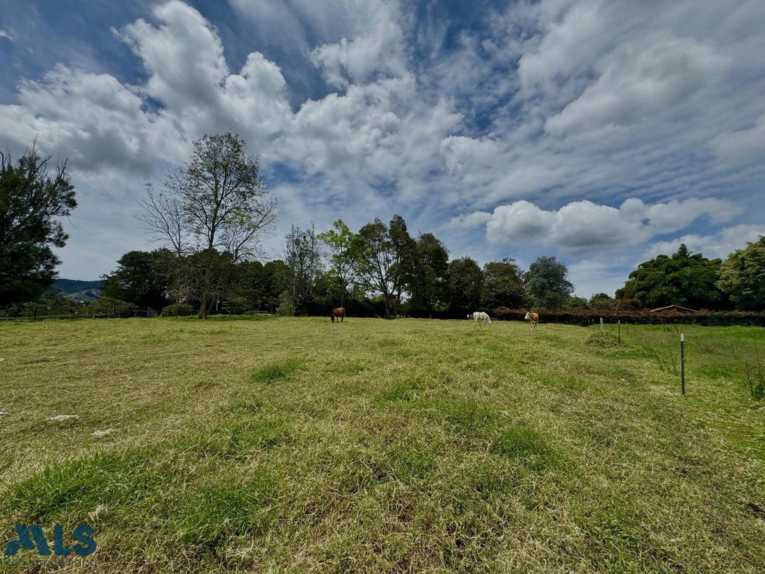Terrain à Rionegro, Antioquia, Colombie 3 - 17534909
