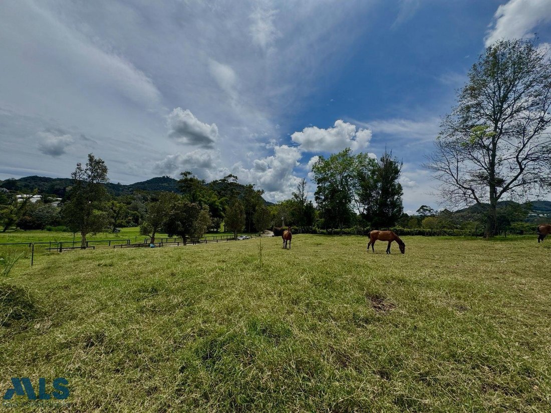 Terrain à Rionegro, Antioquia, Colombie 5 - 17534909