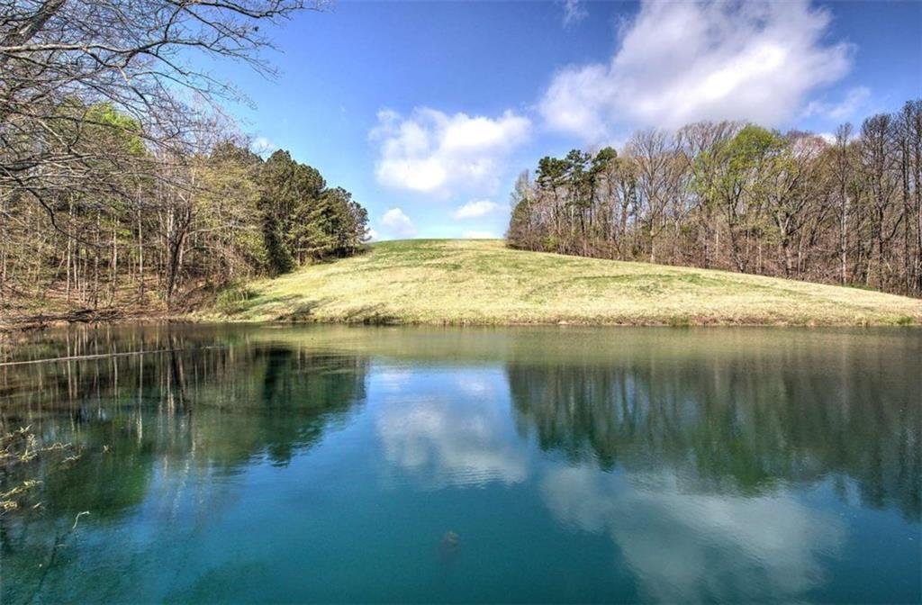 House in Dallas, Georgia, United States 3 - 17534248