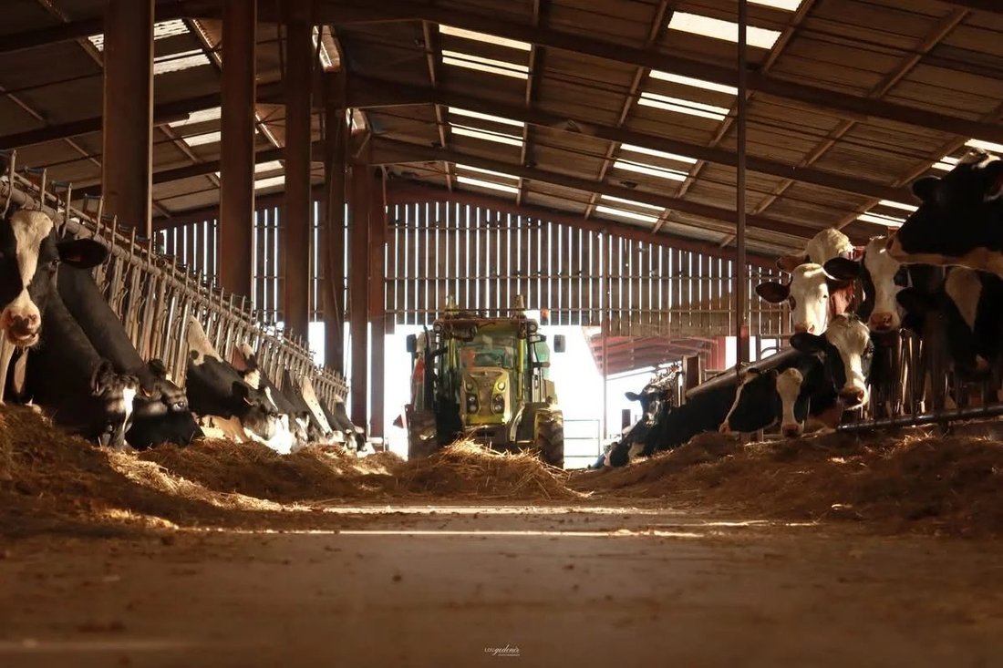 Farm Ranch in Woel, Grand Est, France 2 - 17533659