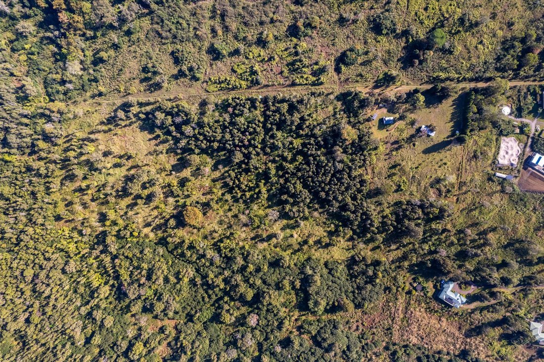 Terrain à Kailua-Kona, Hawaï, États-Unis 3 - 17536321