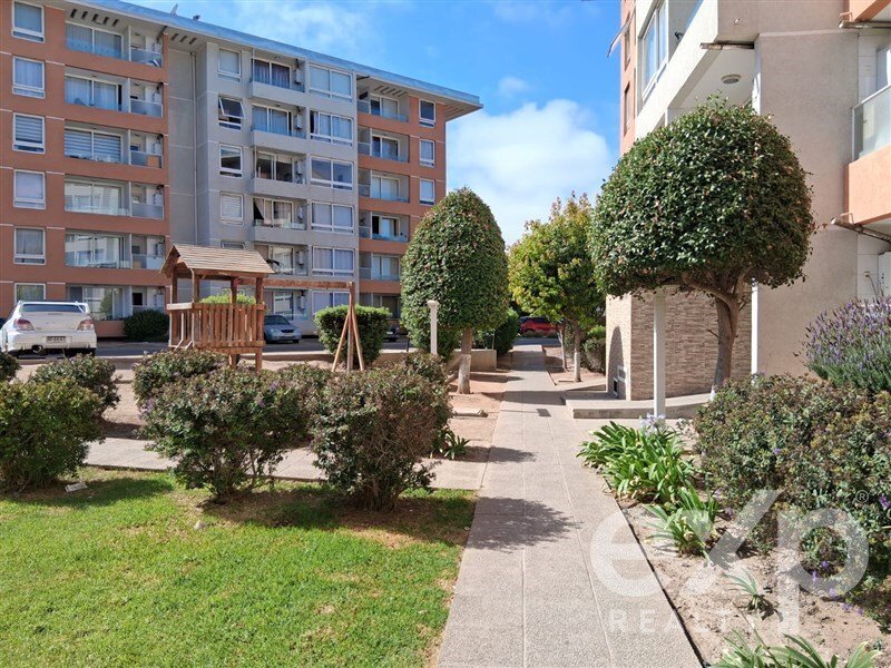 Apartment in La Serena, Coquimbo, Chile 4 - 17537232