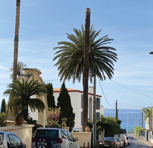 Villa in Cannes, Provence-Alpes-Côte d'Azur, France 2 - 17266905