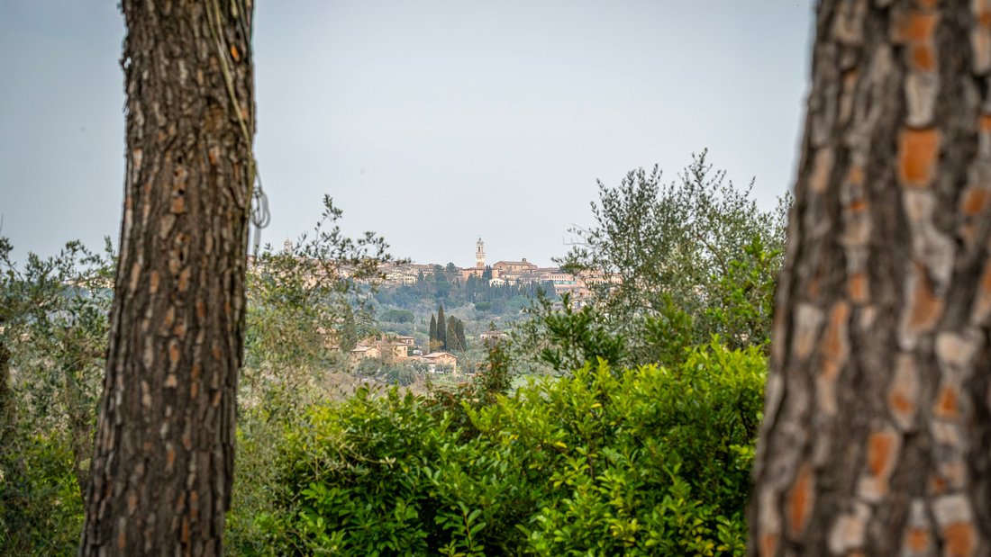 Villa in Siena, Tuscany, Italy 3 - 17537027