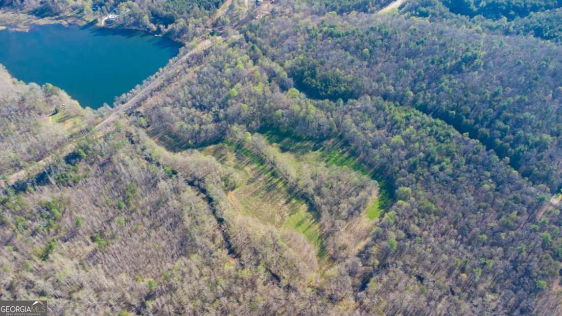 Land in Cumming, Georgia, United States 3 - 17537052