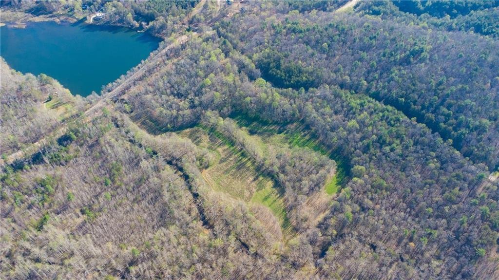 Land in Cumming, Georgia, United States 3 - 17537068