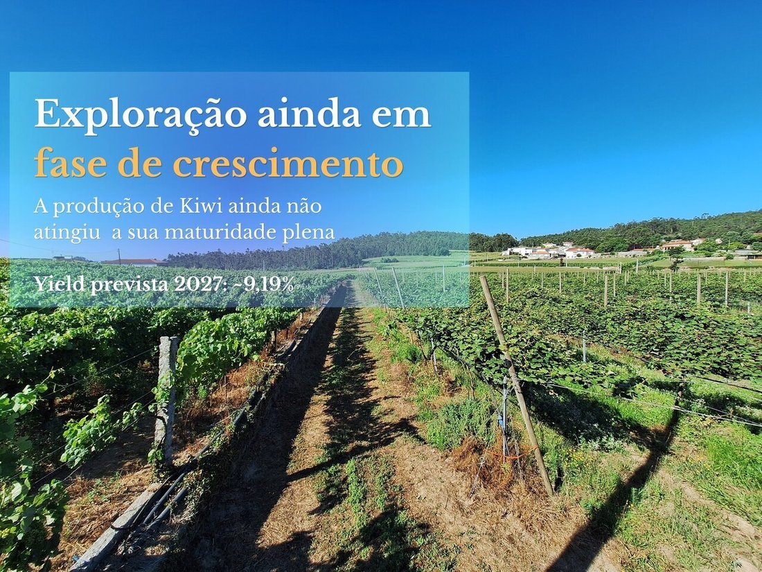 Land in Chorente, Goios, Courel, Pedra Furada e Gueral, Braga, Portugal 4 - 17537571