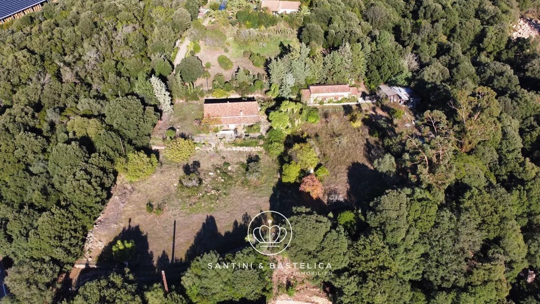House in Vico, Corsica, France 5 - 17537586