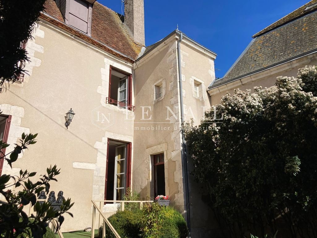 House in Centre Ville, Issoudun, France 5 - 17537657