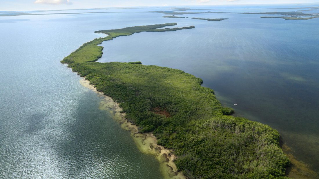 Land in Key Largo, Florida, United States 4 - 16139948