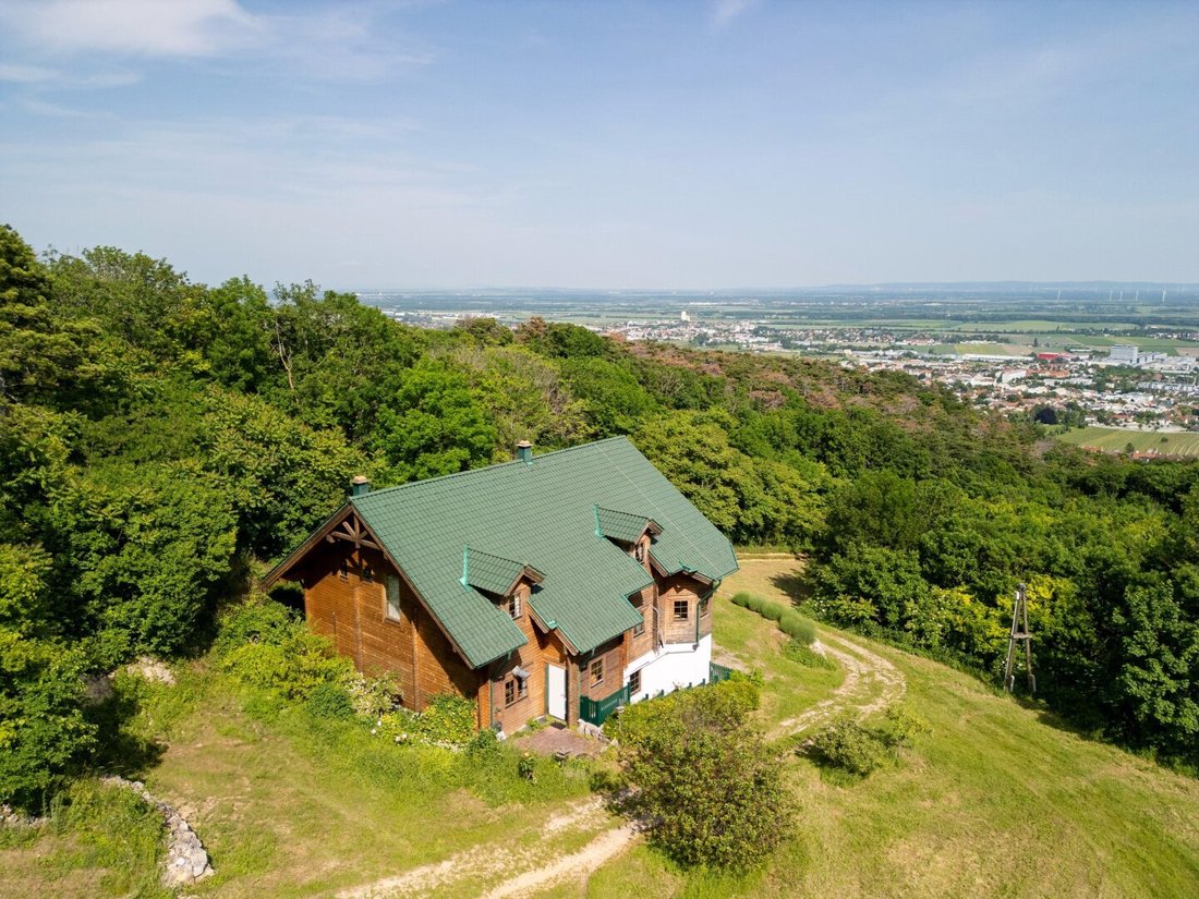 Country House in Gumpoldskirchen, Lower Austria, Austria 1 - 16427029