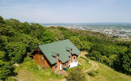 Country House in Gumpoldskirchen, Lower Austria, Austria 1