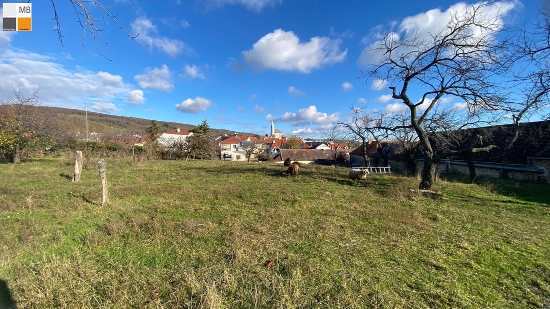 House in Eisenstadt, Burgenland, Austria 5 - 17246018