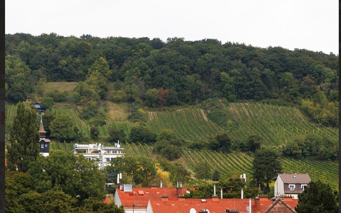 Villa in Vienna, Wien, Austria 2 - 17538519