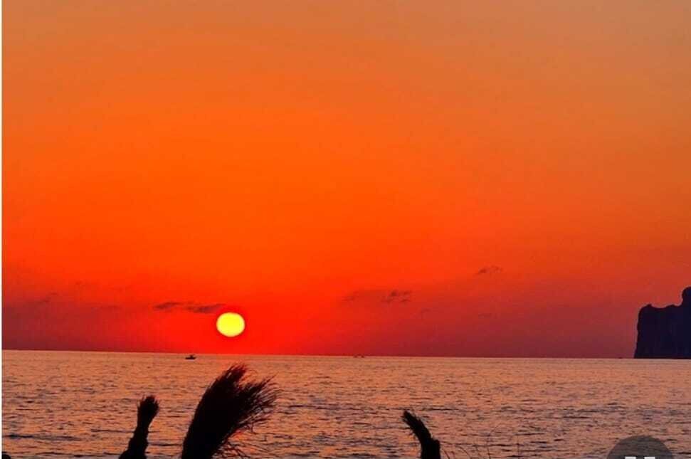Costa de la Calma, Calvia, Balearic Islands 3 - 16423425