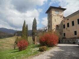 Villa in Torreano, Friuli – Venezia Giulia, Italy 5 - 16431081