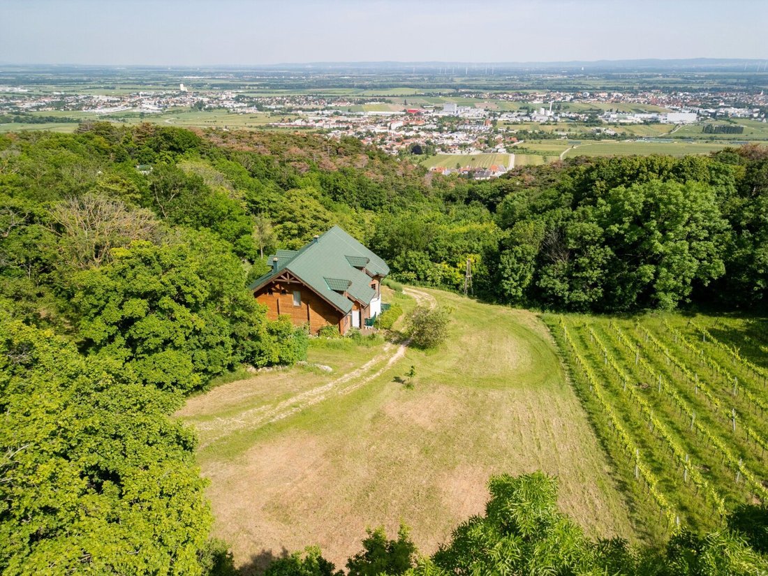 Country House in Gumpoldskirchen, Lower Austria, Austria 2 - 16427029